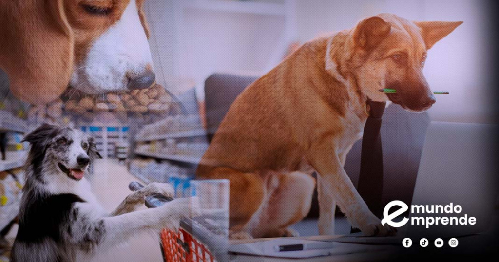 Alimento, salud y lujo: el mercado de mascotas vive su mejor momento