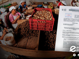 Empresas comunales podrían contratar con el Estado